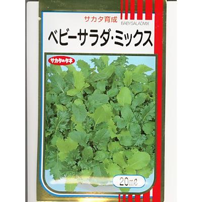 ベビーリーフ サカタ育成 ベビーサラダミックス サカタのベビーサラダの種子です 種の