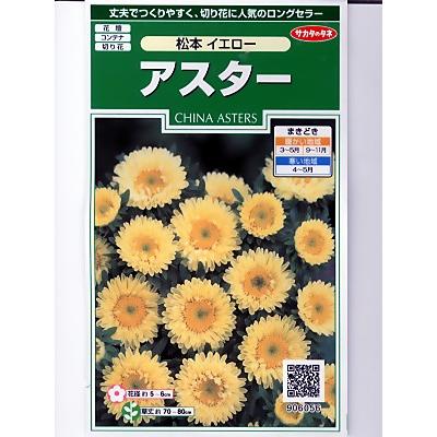 アスターの種　サカタのタネ　松本イエロー　＜サカタのアスター種子です。タネのことならグリーンデポ＞｜green-depo-1