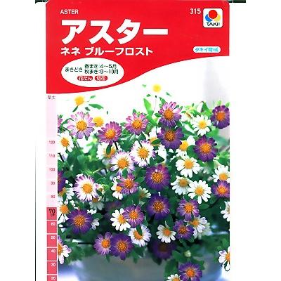 アスターの種 タキイ育成 ネネブルーフロスト タキイのアスター種子です 種のことならグリーンデポ A0554 Green Depoヤフー店 通販 Yahoo ショッピング