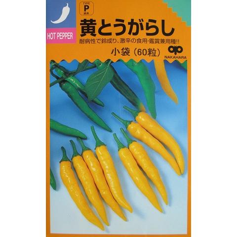 変わったとうがらし種 黄とうがらし 中原採種場のとうがらし種 : GREEN