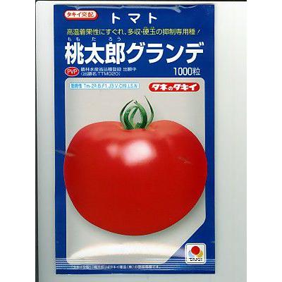 タキイ交配 桃太郎グランデ タキイ種苗のトマト品種です 種の通販ならグリーンデポ A0580 Green Depoヤフー店 通販 Yahoo ショッピング