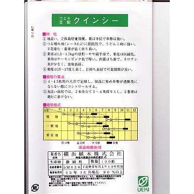 メロンの種 ウエキ交配・・・クインシーメロン・・・＜横浜植木の