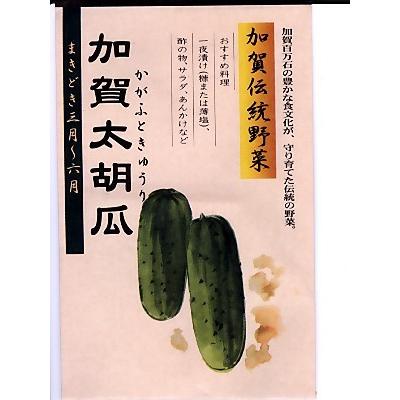 キュウリの種 数量限定アウトレット最安価格 加賀野菜 加賀太胡瓜 松下種苗店の加賀野菜キュウリ種子です 種のことならグリーンデポ