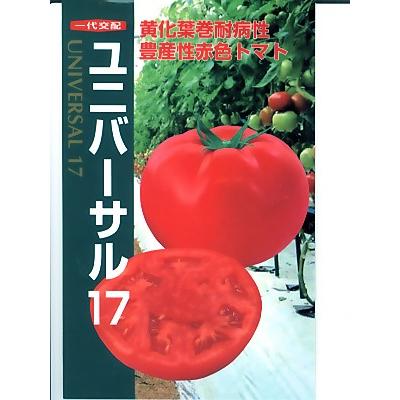 トマト種子　ユニバーサル１７　　黄化葉巻病耐病性赤系トマト　＜ナント種苗のトマト種子です。＞