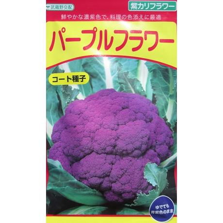 カリフラワー 武蔵野種苗園 三芳交配 パープルフラワー 武蔵野の紫