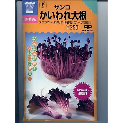 最終決算 スプラウト種子 サンゴかいわれ大根 中原種苗のかいわれ大根種子です
