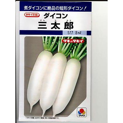 タキイ交配 三太郎大根 タキイ種苗の短形大根の種です : GREEN DEPO