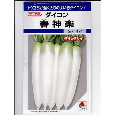 タキイ交配 春神楽大根 タキイ種苗の大根種子です。 : GREEN DEPO