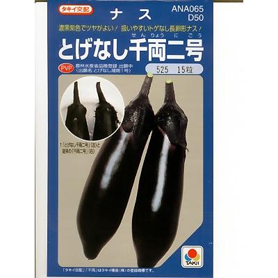 ナスの種 タキイ交配 とげなし千両二号 登録品種 タキイのナス品種です