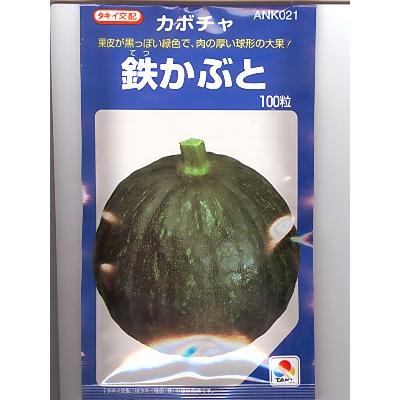 カボチャ種 タキイ交配 鉄かぶと : GREEN DEPOヤフー店 - 通販 - Yahoo