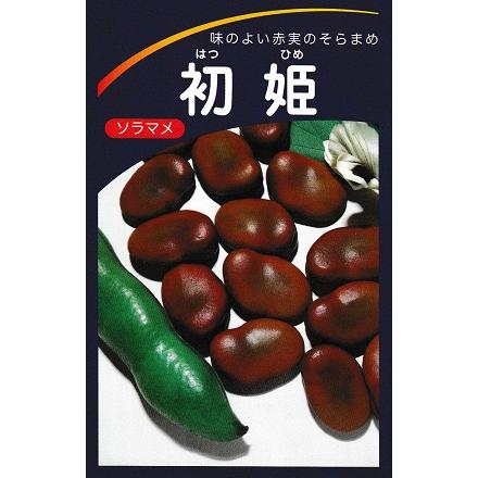 そら豆①マルコ リュミエス 2点セット そら豆①マルコ リュミエス 2点セット マルコ公式｜Decorte Lumies