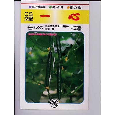 胡瓜種　ＯＳ交配　一心　埼玉原種育成会の胡瓜品種です。