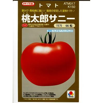 タキイ交配　桃太郎サニー　　　登録品種　タキイのトマト品種です。種の通販ならグリーンデポ
