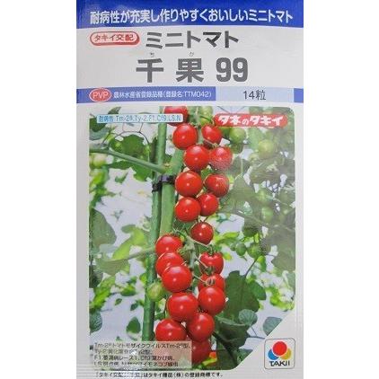 ミニトマト種　タキイ交配　千果９９　　タキイ種苗のミニトマト品種　１０００粒｜green-depo-1