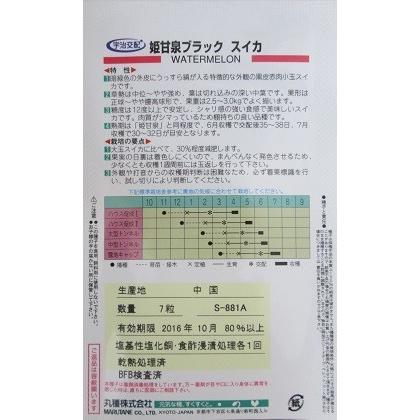 小玉西瓜種　宇治交配　姫甘泉ブラックスイカ　　丸種株式会社の黒皮の小玉西瓜品種です。｜green-depo-1｜02