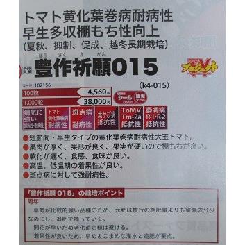 ダイヤ交配　豊作祈願０１５トマト　トキタ種苗の大玉トマト品種（１０００粒入り）_1