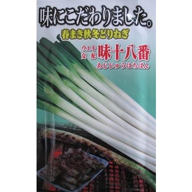 ウエキ交配　味十八番　　横浜植木の一本ネギ品種です。｜green-depo-1