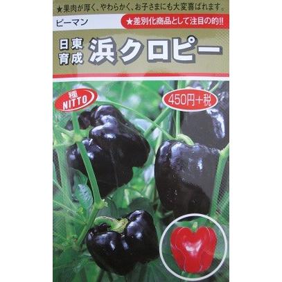 浜クロピー ピーマン カネコ種苗のカラーピーマン品種 : GREEN DEPO