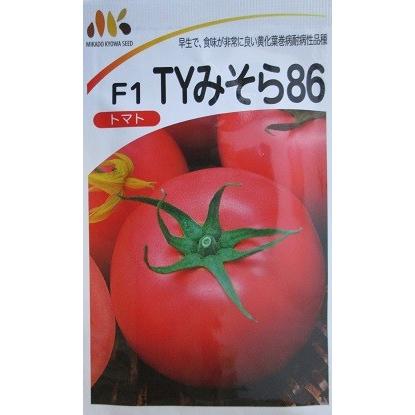 トマト種 TYみそら86 みかど協和の大玉トマト品種です。（中袋