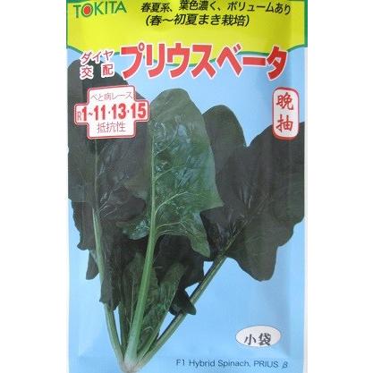 プリウスベータ　トキタ種苗のほうれん草品種です。｜green-depo-1