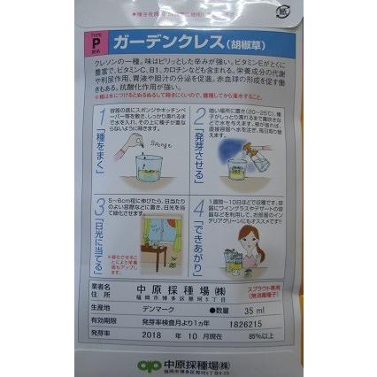 ガーデンクレス（胡椒草）　　中原採取場のスプラウト用種子です。　｜green-depo-1｜02