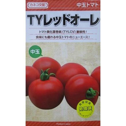 カネコ交配　ＴＹレッドオーレ　カネコ種苗の中玉トマト品種　１０００粒