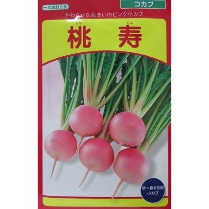 武蔵野交配 桃寿 武蔵野種苗園の小カブ品種です A1245 Green Depoヤフー店 通販 Yahoo ショッピング