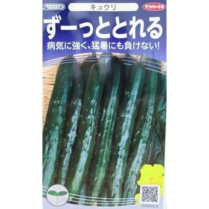サカタ交配　ずーっととれる　キュウリ　サカタのタネのキュウリ品種　３５０粒入り