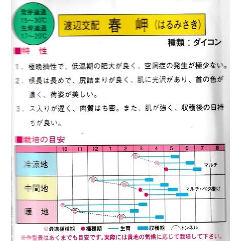 渡辺交配　春岬大根　渡辺農事の春大根品種　（１０００粒入り）｜green-depo-1｜02