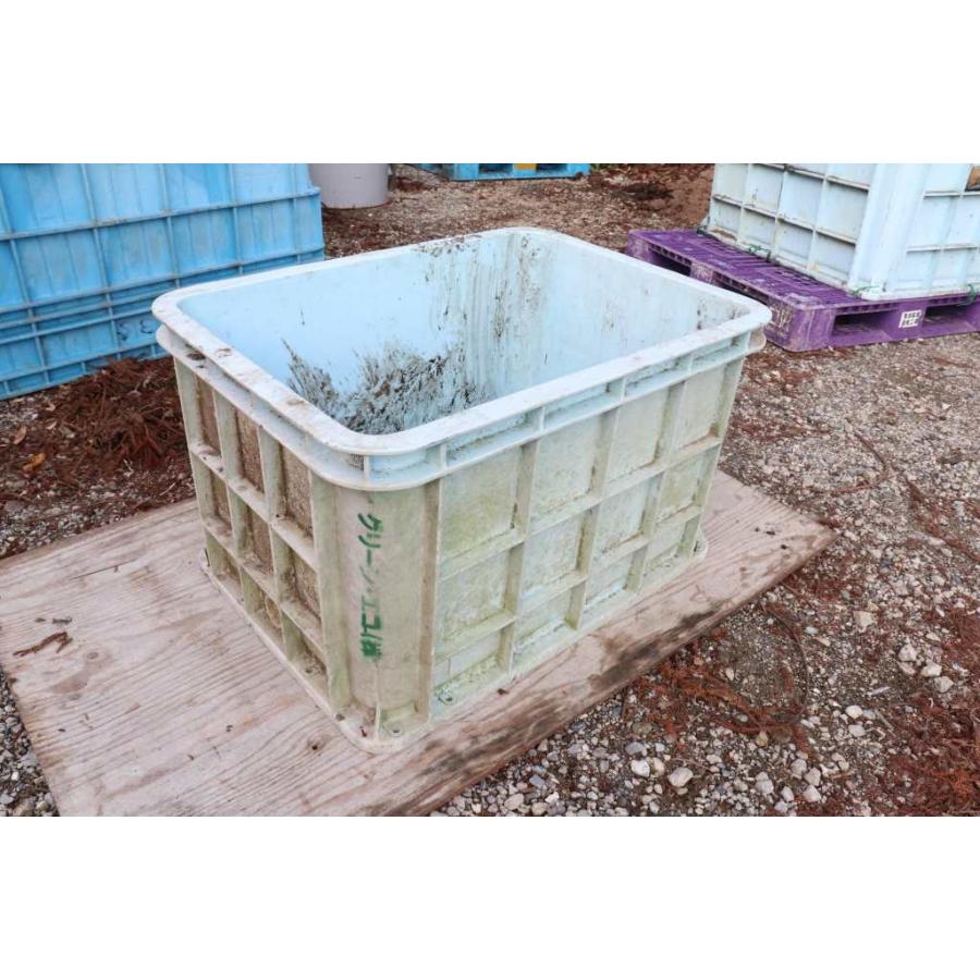 ジャンボコンテナ 500L ジャンボックス 水槽