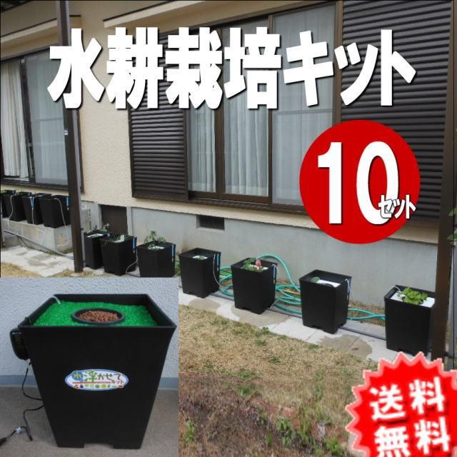 水耕栽培キット水に浮かせて野菜を育てる 浮かせてキット 10セット お手軽 簡単に家庭菜園 初心者ガーデニング 収穫の歓び 手軽に菜園生活 Float10 グリーン工房 通販 Yahoo ショッピング