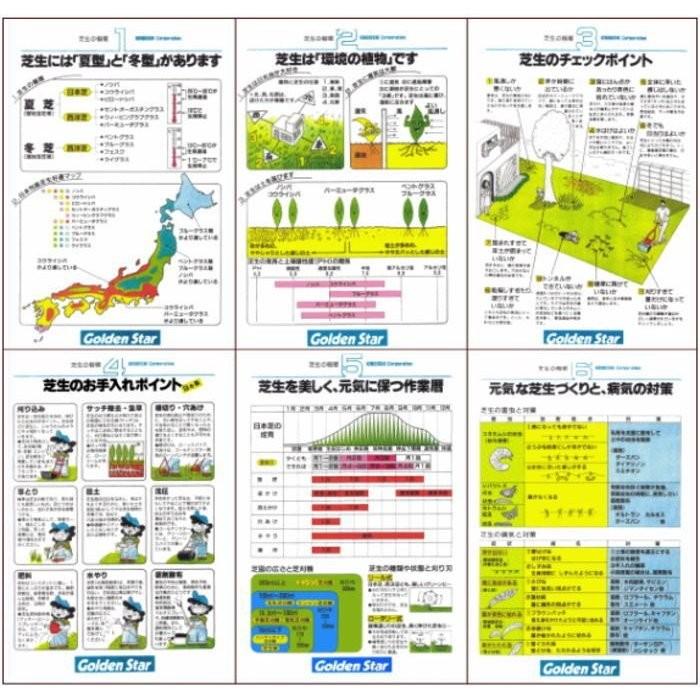 手動式芝刈り機 ナイスバーディーモアーDX GSB-2000NDX」キンボシ