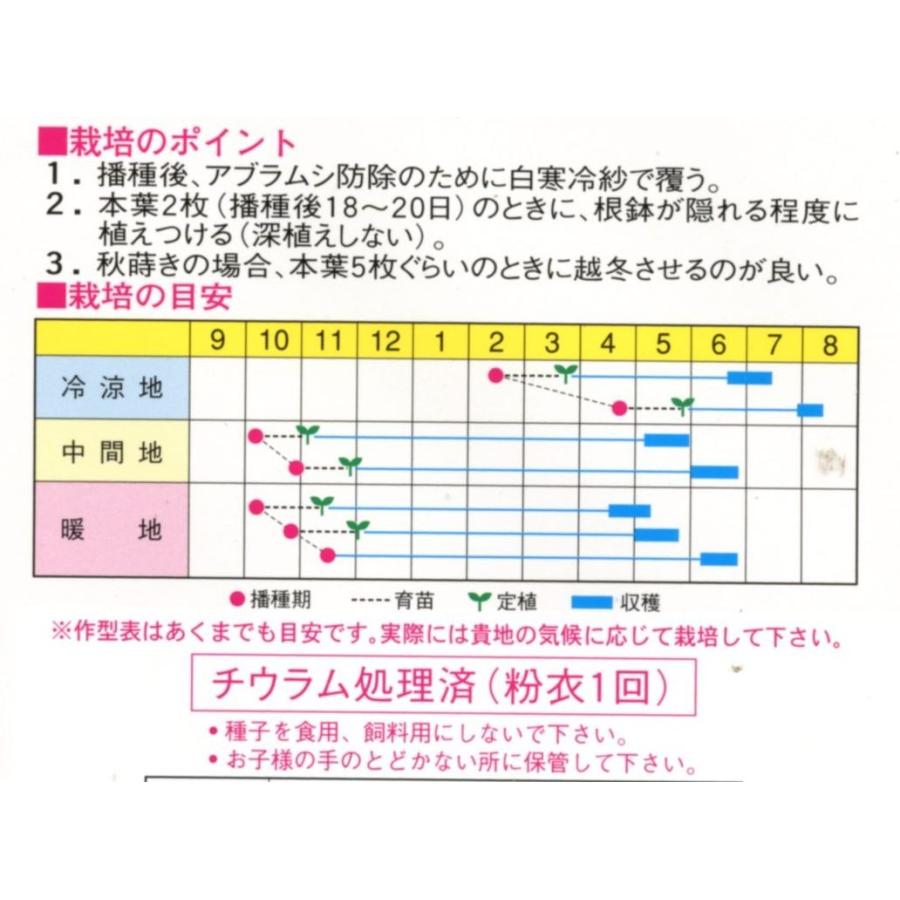 そら豆 千倉一寸そら豆 1dl 渡辺農事 030 グリーンロフトネモト 通販 Yahoo ショッピング