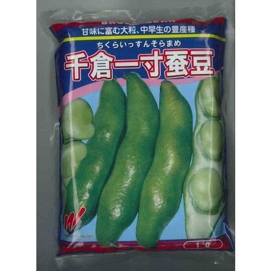 そら豆　千倉一寸そら豆　1L　渡辺農事｜green-loft