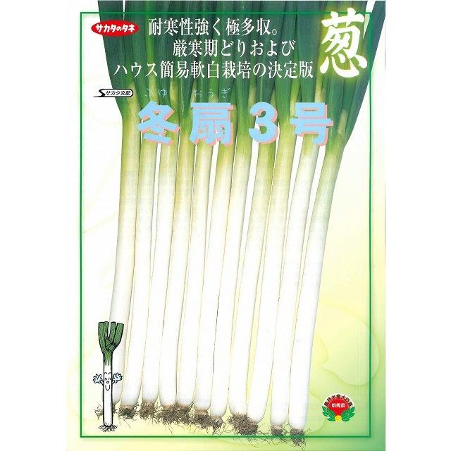 サカタのタネ（サカタノタネ） ねぎ 冬扇3号 1dl(裸種子)（株）サカタ