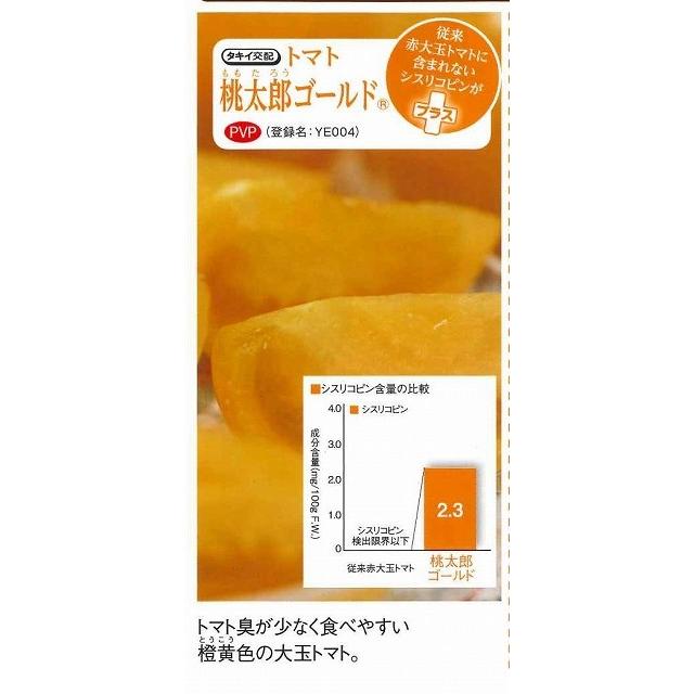 トマト 桃太郎ゴールド16粒 タキイ種苗（株） DF : グリーン