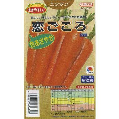 人参 恋ごころ ペレット種子 500粒 タキイ種苗（株） : グリーンロフト