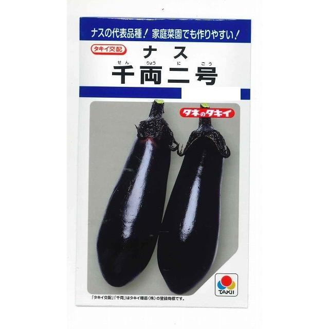 なす 千両二号 50粒 タキイ種苗（株） DF : グリーンロフトネモト