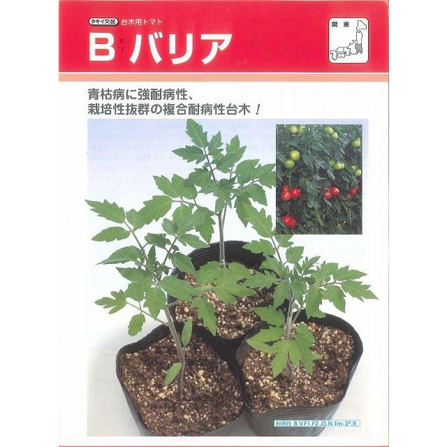 台木(トマト用) Bバリア 1000粒 タキイ種苗（株） : グリーンロフト