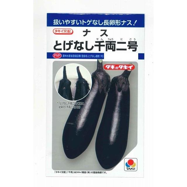 なす とげなし千両二号 35粒 タキイ種苗（株） DF | 