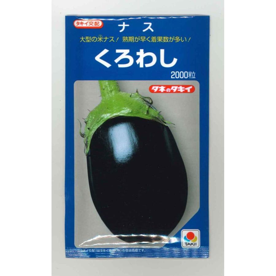 なす くろわし 2000粒 タキイ種苗（株） : グリーンロフトネモト