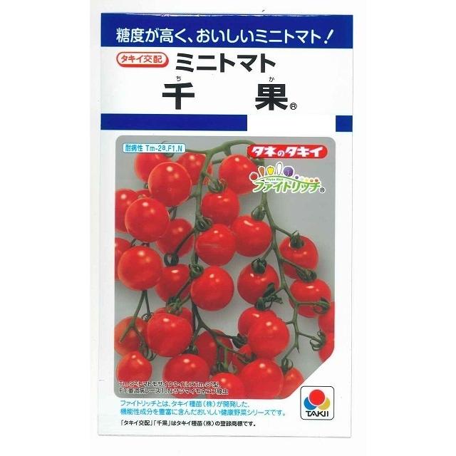 トマト ミニトマト 千果 16粒 タキイ種苗（株） DF : グリーンロフト