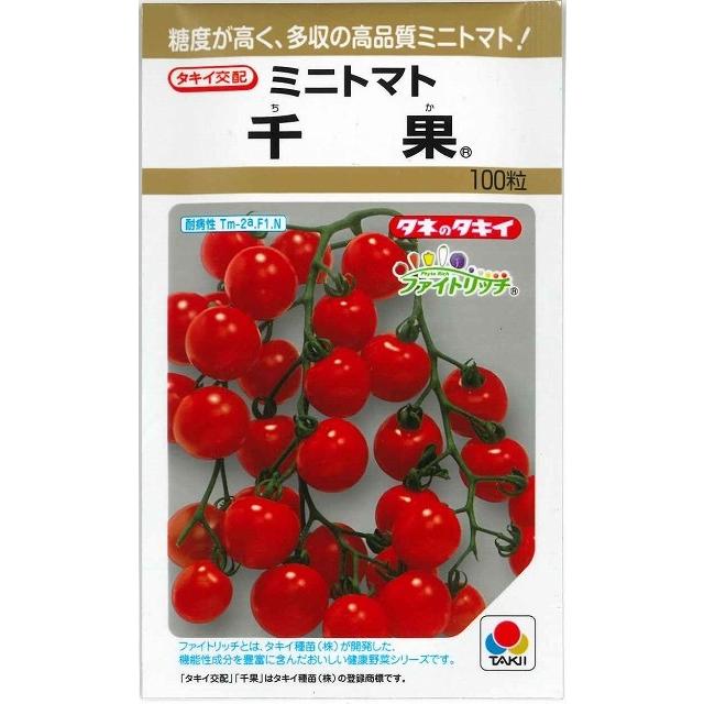 ミニトマト 千果 100粒 タキイ種苗（株） : グリーンロフトネモト