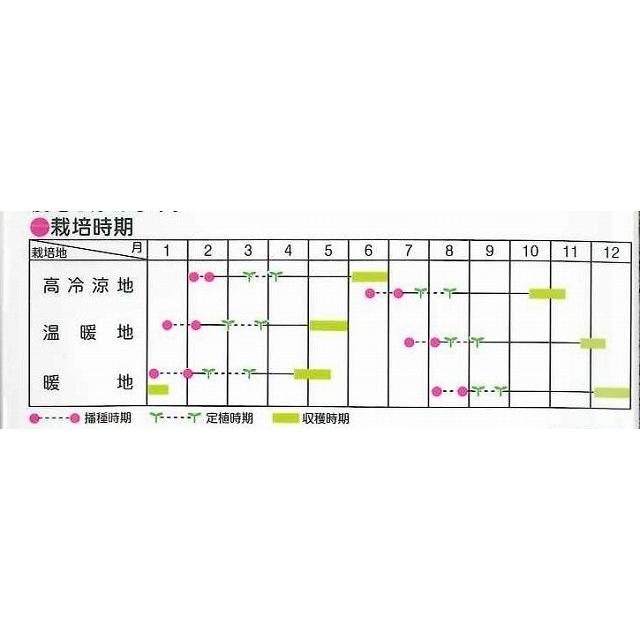 ブロッコリー グランドーム ペレット種子 5000粒 (株)サカタの ブロッコリー グランドーム ペレット種子 5000粒 (株)サカタの