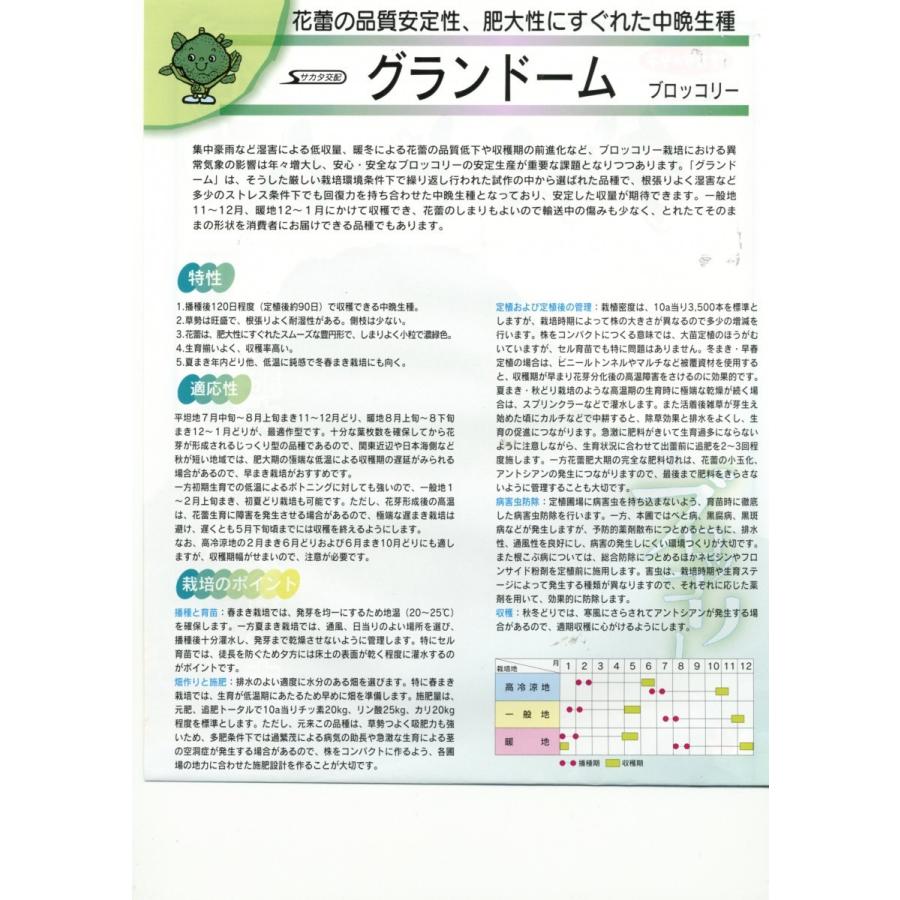 ブロッコリー グランドーム ペレット種子 5000粒 (株)サカタの ブロッコリー グランドーム ペレット種子 5000粒 (株)サカタの