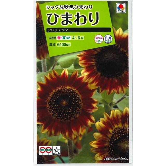 花の種 ひまわり フロリスタン 小袋 タキイ種苗（株）(NL200