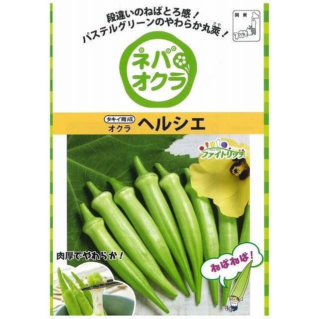 オクラ ヘルシエ 1万粒 タキイ種苗（株）_2