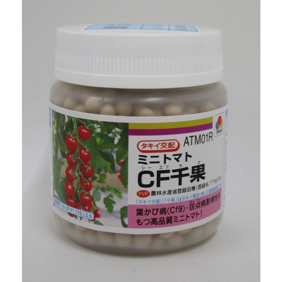 トマト ミニトマト ＣＦ千果 ペレット 2L 1000粒 タキイ種苗（株）
