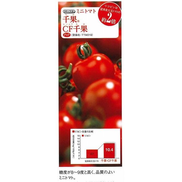 トマト ミニトマト ＣＦ千果 ペレット 2L 1000粒 タキイ種苗（株）_3