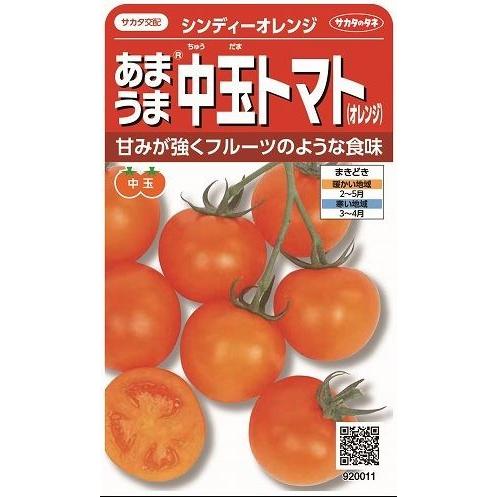 中玉トマト シンディーオレンジ 14粒 実咲 サカタのタネ 193 グリーンロフトネモト 通販 Yahoo ショッピング